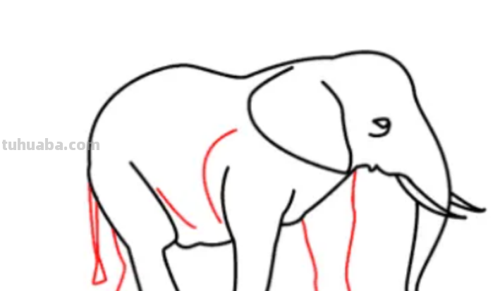 怎么画大象