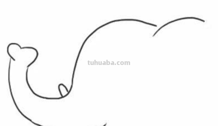 大象怎么画