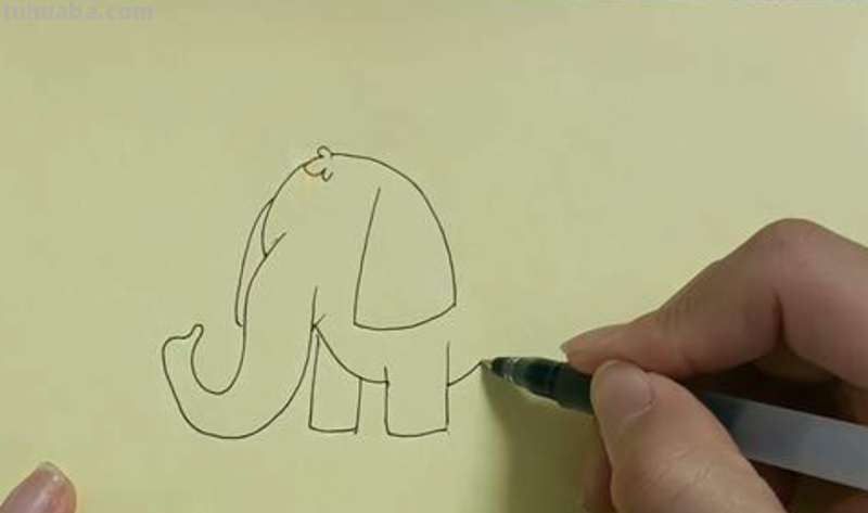 如何画出一头大象