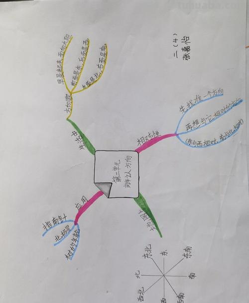 思维导图应该怎么构图 怎么画思维导构图？