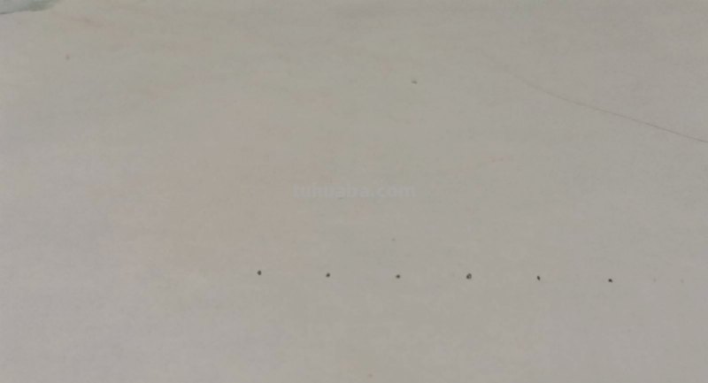 清明节的手抄报怎么画眉毛 纸上画眉毛的步骤？