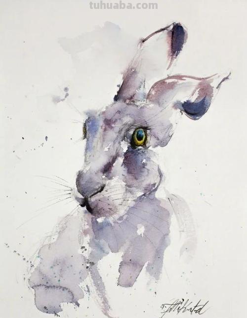 一组惊艳的动物水彩画 /FineArtCenter