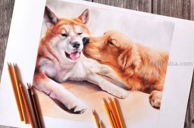 彩铅小狗怎么画简单 如何画小狗？