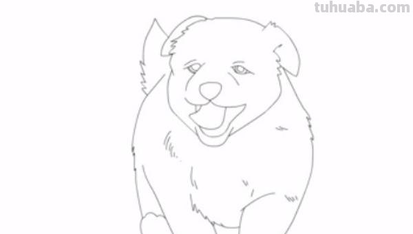 彩铅小狗怎么画简单 如何画小狗? 彩铅小狗怎么画简单 如何画小狗?