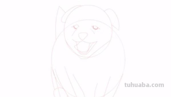 彩铅小狗怎么画简单 如何画小狗? 彩铅小狗怎么画简单 如何画小狗?