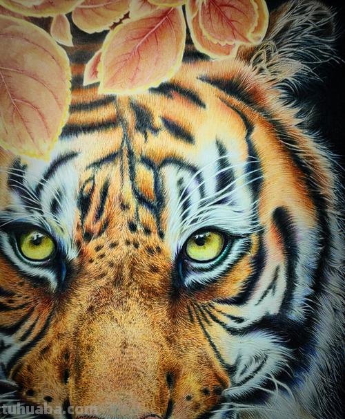 老虎彩铅水彩怎么画 一招学会画虎?