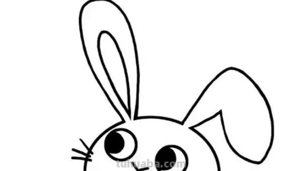 小兔子怎么画简笔画