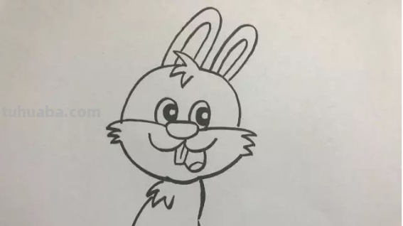 怎么画兔子简笔画