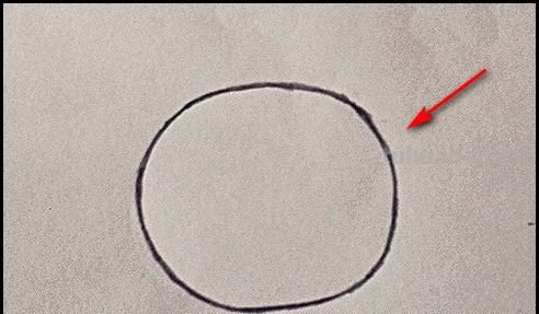 兔子的简笔画画法