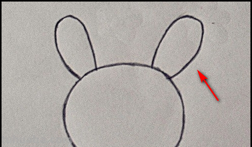 兔子的简笔画画法