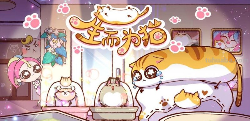 《生而为猫》开播进入倒计时!幕后制作声优阵容首爆!