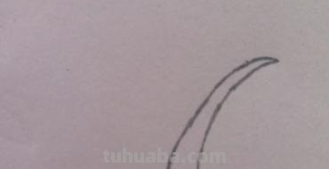 椰子怎么画简笔画 海边的椰子树简笔画画法? 椰子怎么画简笔画 海边的椰子树简笔画画法?