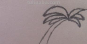 椰子怎么画简笔画 海边的椰子树简笔画画法? 椰子怎么画简笔画 海边的椰子树简笔画画法?