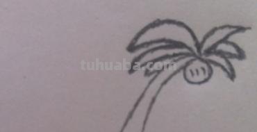 椰子怎么画简笔画 海边的椰子树简笔画画法? 椰子怎么画简笔画 海边的椰子树简笔画画法?
