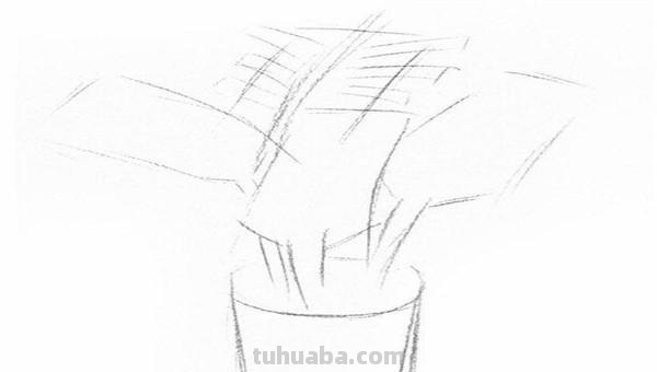 椰子怎么画简笔画 海边的椰子树简笔画画法? 椰子怎么画简笔画 海边的椰子树简笔画画法?