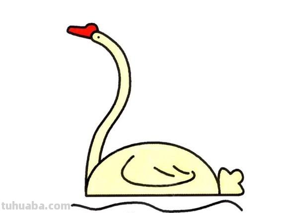 天鹅简笔画 天鹅简笔画图片大全