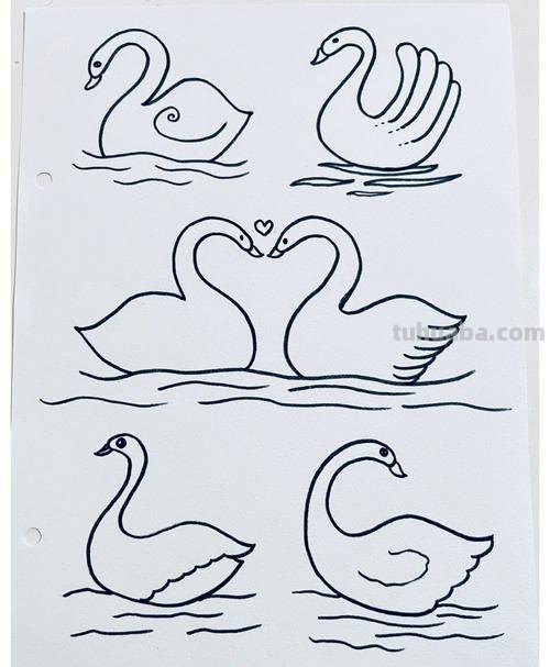天鹅简笔画 天鹅简笔画图片大全
