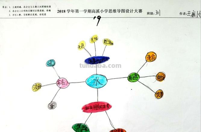 思维导图可以写什么 思维导图内容该写什么?