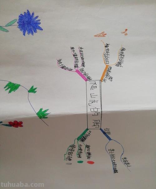 思维导图可以写什么 思维导图内容该写什么?