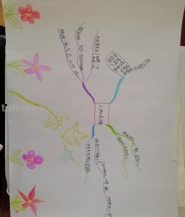 思维导图可以写什么 思维导图内容该写什么？