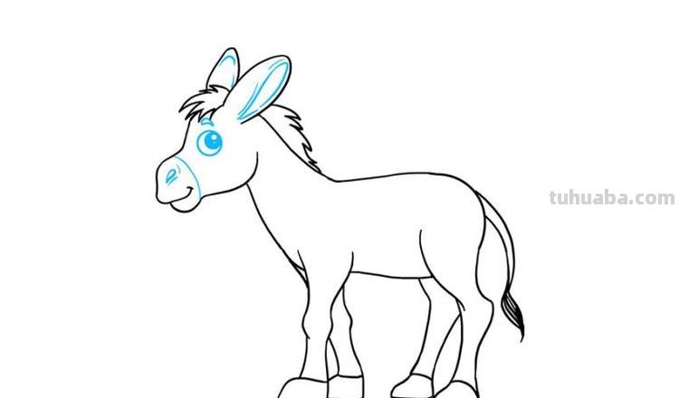 驴子简笔画 马与驴子简笔画