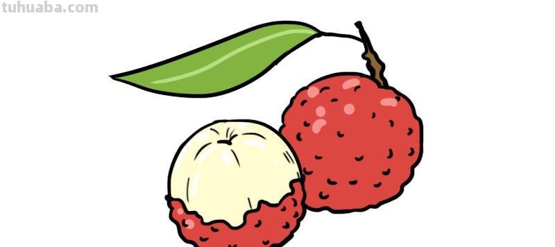 荔枝简笔画 荔枝简笔画图片带颜色