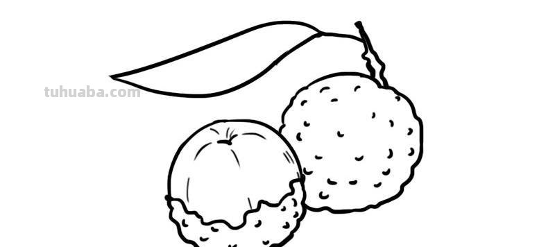 荔枝简笔画 荔枝简笔画图片带颜色
