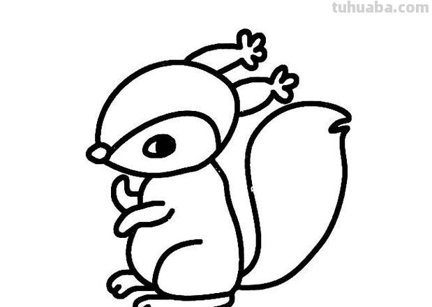 松鼠简笔画 松鼠简笔画 可爱