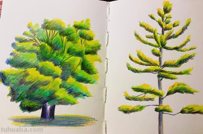 彩铅卡通树怎么画 怎么使用彩铅画树？