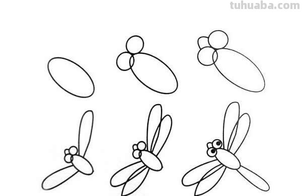 蜻蜓简笔画的步骤 蜻蜓简笔画的步骤是什么