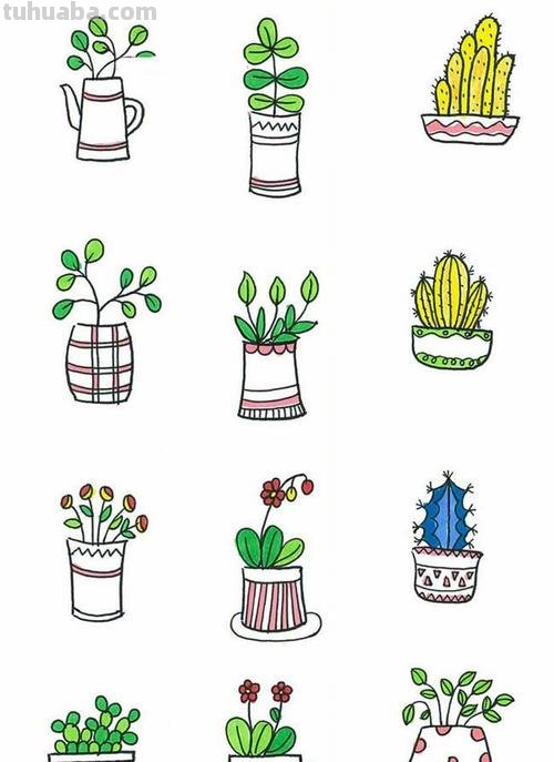 盆栽简笔画 盆栽简笔画图片带颜色