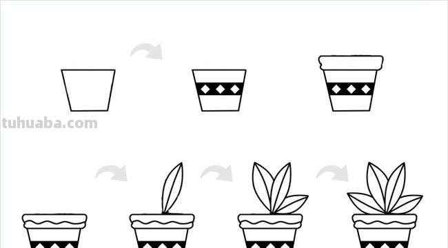 盆栽简笔画 盆栽简笔画图片带颜色