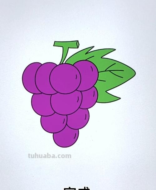 卡通葡萄简笔画 卡通葡萄简笔画图片