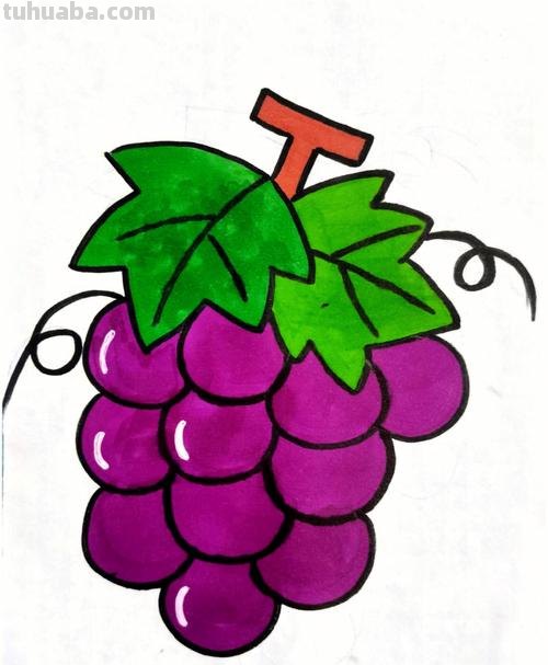 卡通葡萄简笔画 卡通葡萄简笔画图片