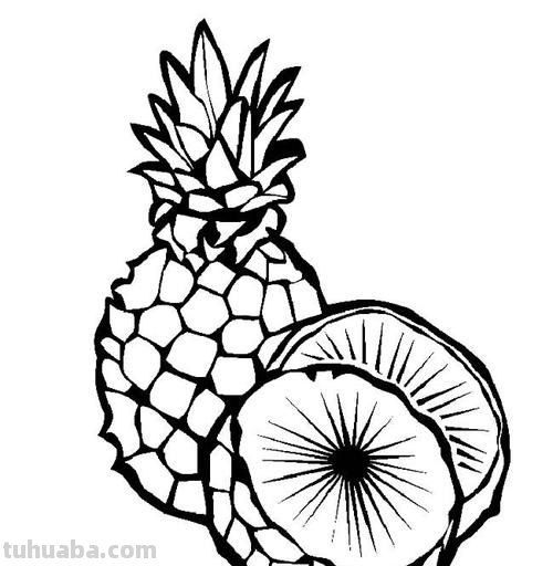 菠萝简笔画怎么画 菠萝简笔画怎么画铅笔