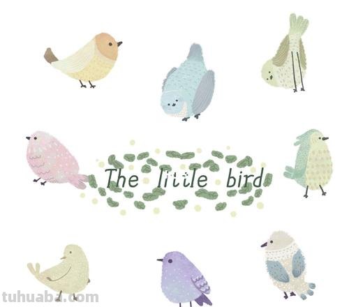 可爱小鸟！治愈系简笔插画作品