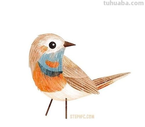 可爱小鸟！治愈系简笔插画作品