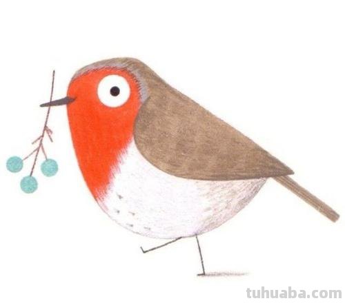 可爱小鸟！治愈系简笔插画作品