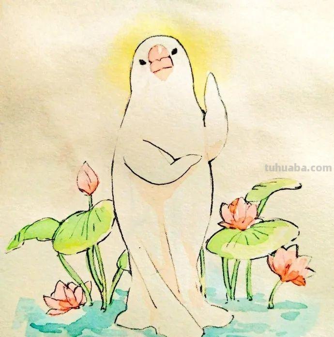 可爱小鸟！治愈系简笔插画作品