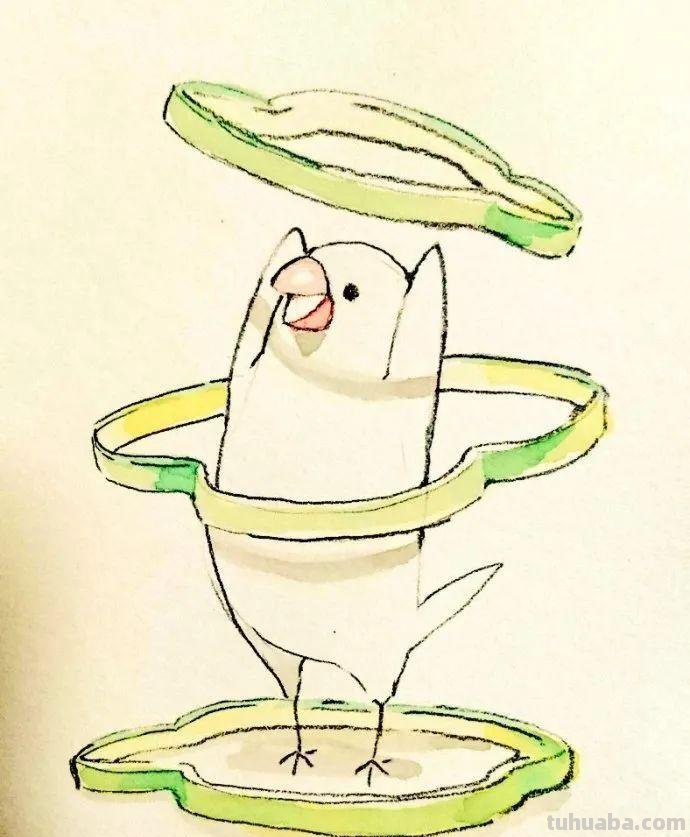 可爱小鸟！治愈系简笔插画作品