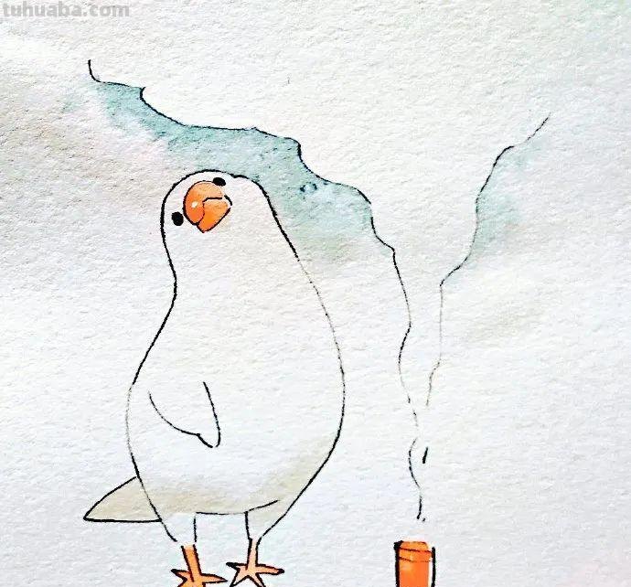 可爱小鸟！治愈系简笔插画作品