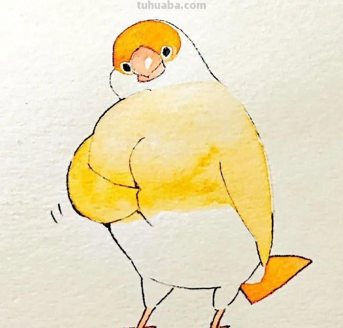 可爱小鸟！治愈系简笔插画作品