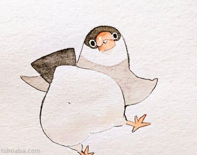 可爱小鸟！治愈系简笔插画作品