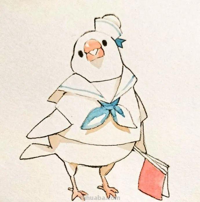 可爱小鸟！治愈系简笔插画作品