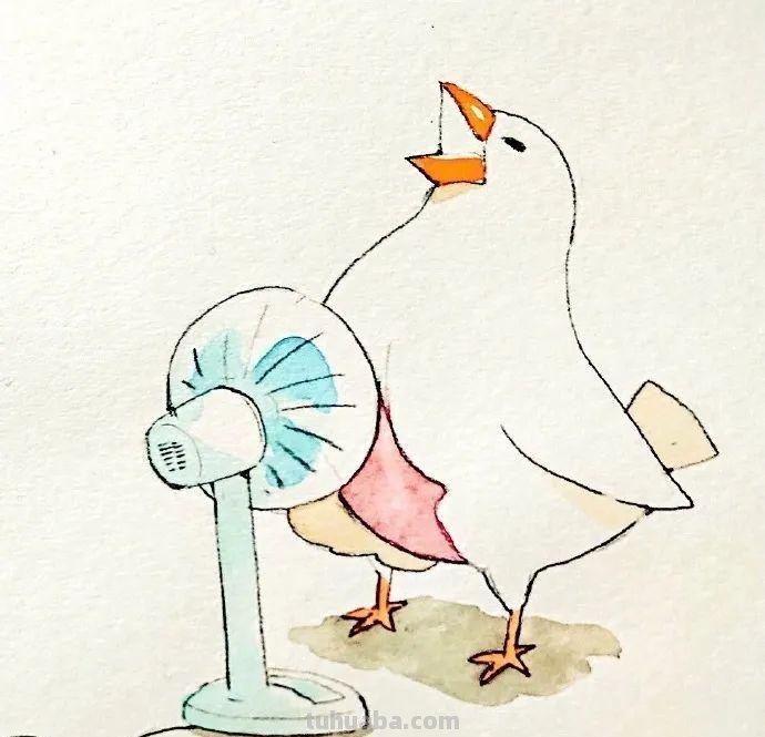可爱小鸟！治愈系简笔插画作品