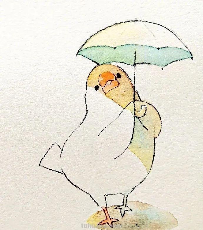 可爱小鸟！治愈系简笔插画作品
