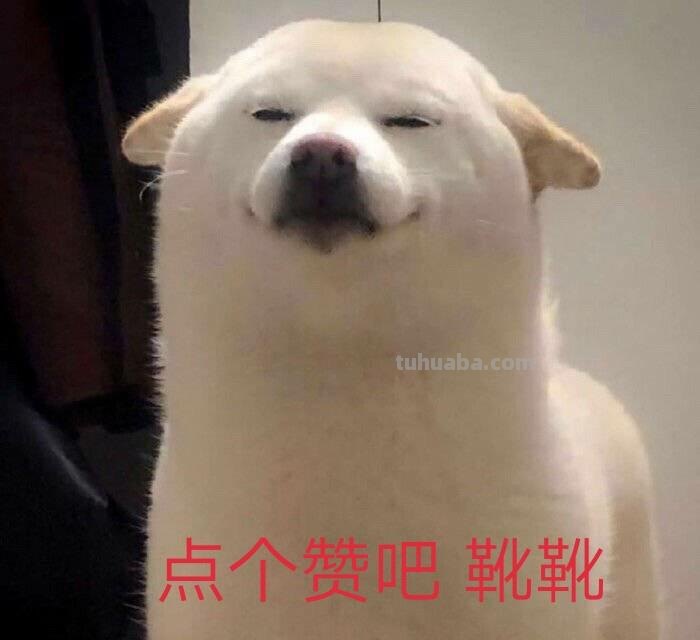 可爱小鸟！治愈系简笔插画作品