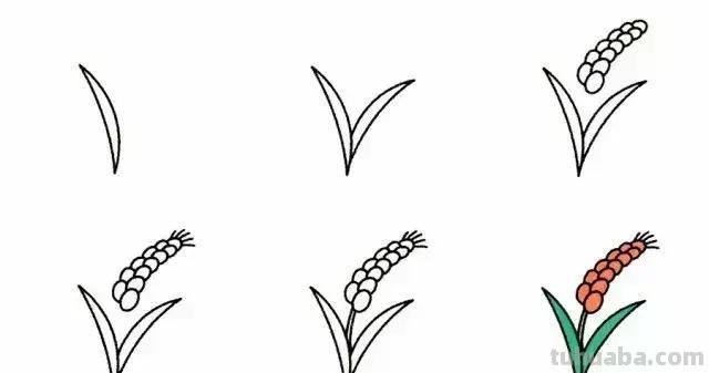 简笔画 - 9种植物简笔画，超简单，一学就会，还能教孩子认植物！
