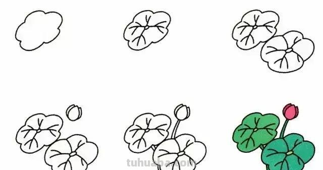 简笔画 - 9种植物简笔画，超简单，一学就会，还能教孩子认植物！