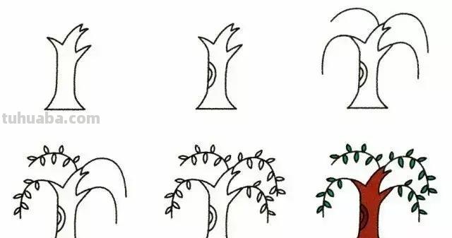 简笔画 - 9种植物简笔画，超简单，一学就会，还能教孩子认植物！